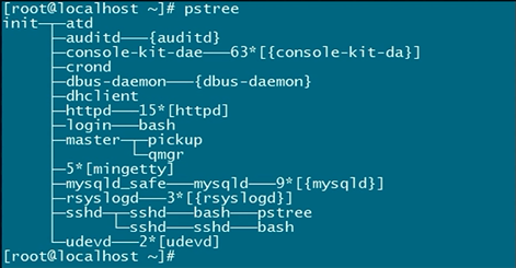 Linux中ps及pstree管理进程详解